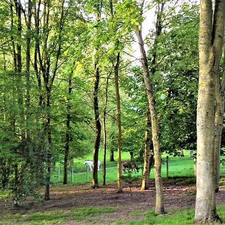 Lodge La Gypsy Caravan Riviere (Pas-de-Calais)