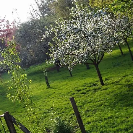 La Gypsy Caravan * Riviere (Pas-de-Calais)
