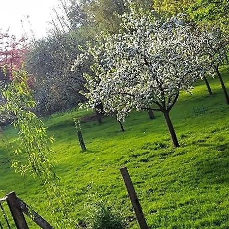 La Gypsy Caravan Lodge Riviere (Pas-de-Calais)